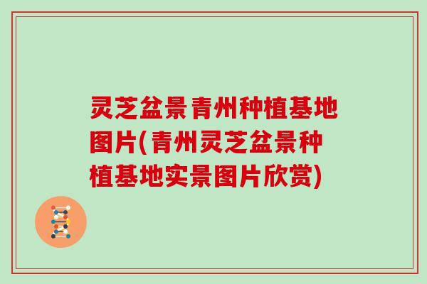 灵芝盆景青州种植基地图片(青州灵芝盆景种植基地实景图片欣赏)