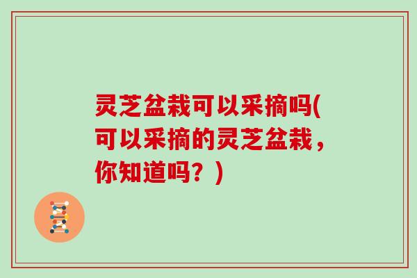 灵芝盆栽可以采摘吗(可以采摘的灵芝盆栽，你知道吗？)