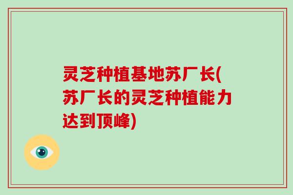 灵芝种植基地苏厂长(苏厂长的灵芝种植能力达到顶峰)