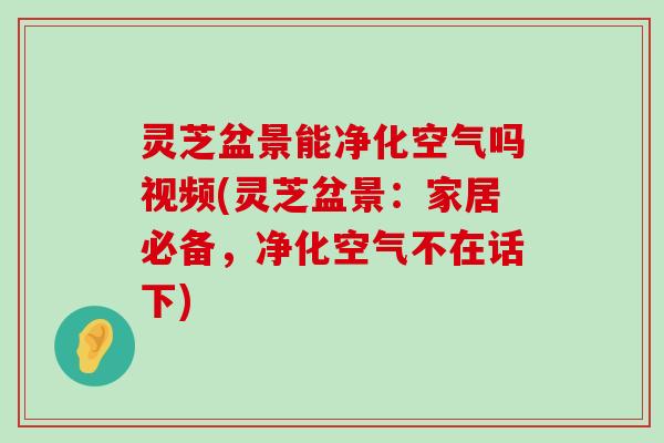 灵芝盆景能净化空气吗视频(灵芝盆景：家居必备，净化空气不在话下)