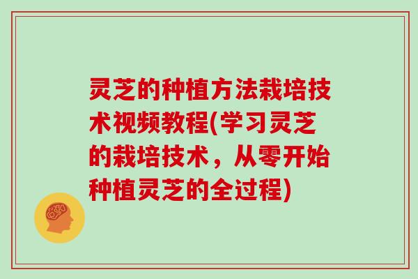 灵芝的种植方法栽培技术视频教程(学习灵芝的栽培技术，从零开始种植灵芝的全过程)