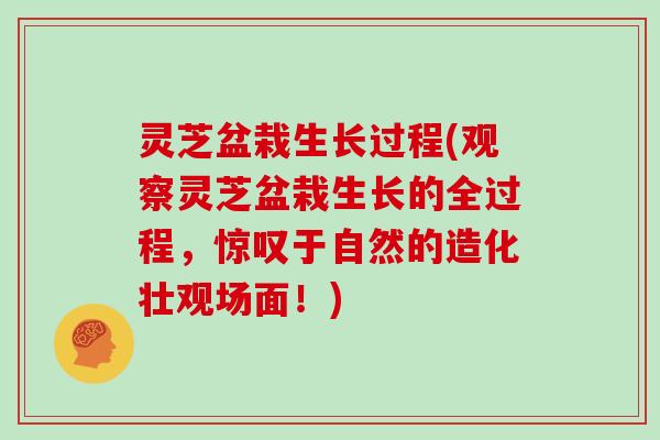 灵芝盆栽生长过程(观察灵芝盆栽生长的全过程，惊叹于自然的造化壮观场面！)