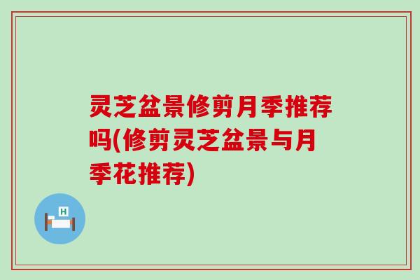 灵芝盆景修剪月季推荐吗(修剪灵芝盆景与月季花推荐)