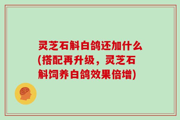 灵芝石斛白鸽还加什么(搭配再升级，灵芝石斛饲养白鸽效果倍增)