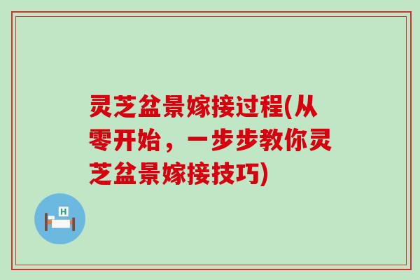 灵芝盆景嫁接过程(从零开始，一步步教你灵芝盆景嫁接技巧)