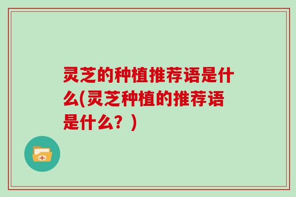 灵芝的种植推荐语是什么(灵芝种植的推荐语是什么？)