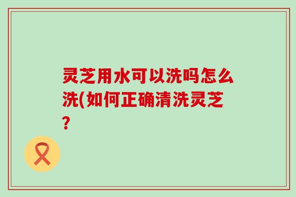 灵芝用水可以洗吗怎么洗(如何正确清洗灵芝？