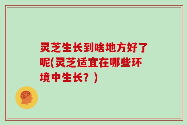 灵芝生长到啥地方好了呢(灵芝适宜在哪些环境中生长？)