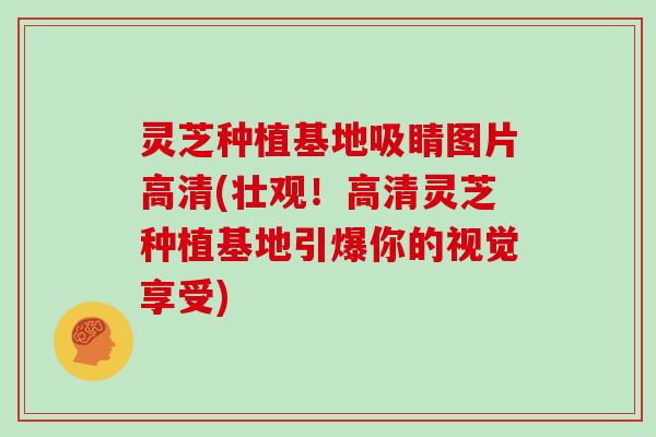 灵芝种植基地吸睛图片高清(壮观！高清灵芝种植基地引爆你的视觉享受)