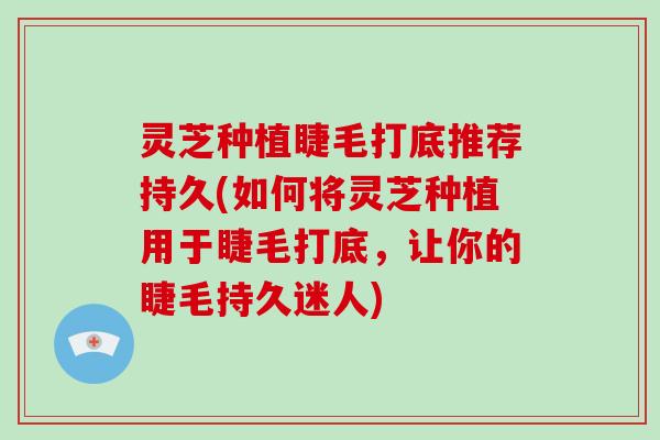 灵芝种植睫毛打底推荐持久(如何将灵芝种植用于睫毛打底，让你的睫毛持久迷人)