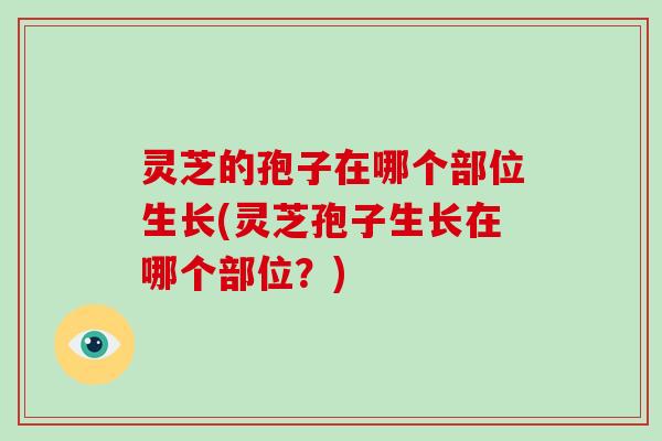 灵芝的孢子在哪个部位生长(灵芝孢子生长在哪个部位？)