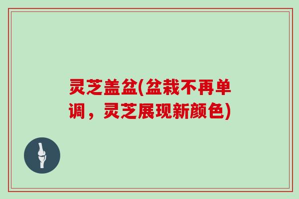 灵芝盖盆(盆栽不再单调，灵芝展现新颜色)