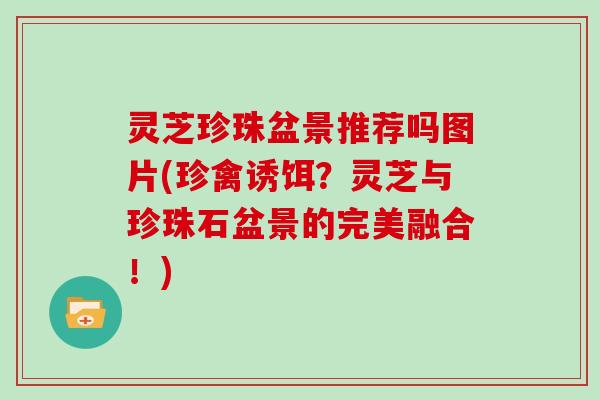 灵芝珍珠盆景推荐吗图片(珍禽诱饵？灵芝与珍珠石盆景的完美融合！)