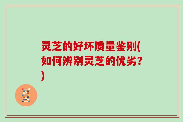 灵芝的好坏质量鉴别(如何辨别灵芝的优劣？)