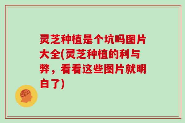 灵芝种植是个坑吗图片大全(灵芝种植的利与弊，看看这些图片就明白了)