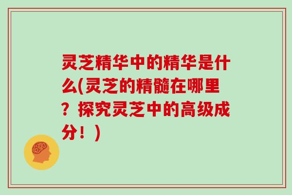 灵芝精华中的精华是什么(灵芝的精髓在哪里？探究灵芝中的高级成分！)