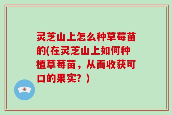 灵芝山上怎么种草莓苗的(在灵芝山上如何种植草莓苗，从而收获可口的果实？)