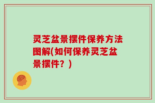 灵芝盆景摆件保养方法图解(如何保养灵芝盆景摆件？)