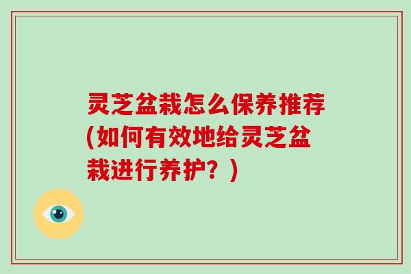 灵芝盆栽怎么保养推荐(如何有效地给灵芝盆栽进行养护？)