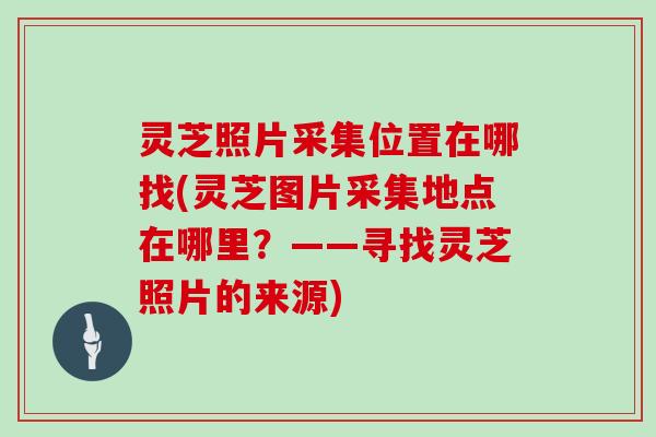 灵芝照片采集位置在哪找(灵芝图片采集地点在哪里？——寻找灵芝照片的来源)