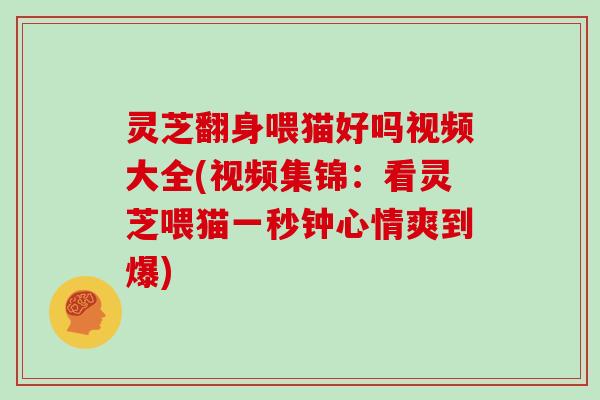 灵芝翻身喂猫好吗视频大全(视频集锦：看灵芝喂猫一秒钟心情爽到爆)