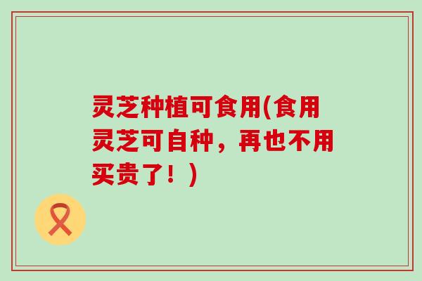 灵芝种植可食用(食用灵芝可自种，再也不用买贵了！)