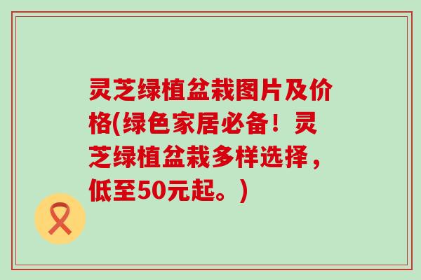 灵芝绿植盆栽图片及价格(绿色家居必备！灵芝绿植盆栽多样选择，低至50元起。)