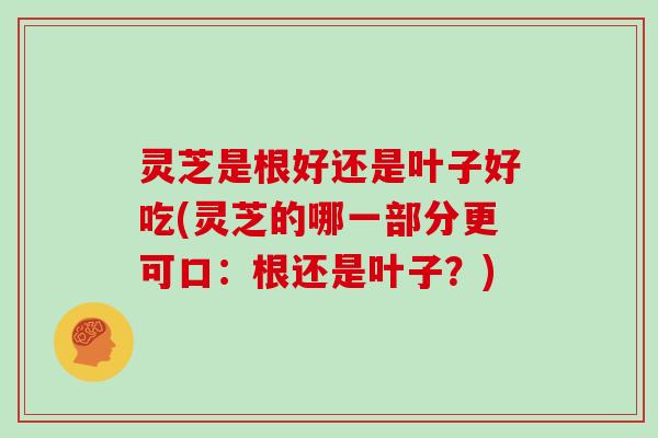 灵芝是根好还是叶子好吃(灵芝的哪一部分更可口：根还是叶子？)