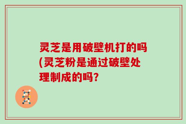 灵芝是用破壁机打的吗(灵芝粉是通过破壁处理制成的吗？