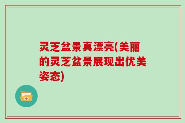 灵芝盆景真漂亮(美丽的灵芝盆景展现出优美姿态)