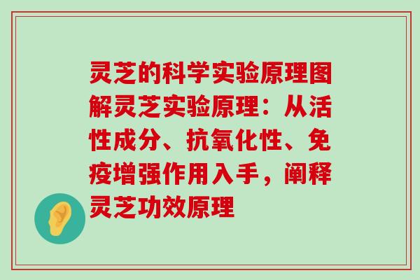 灵芝的科学实验原理图解灵芝实验原理：从活性成分、性、免疫增强作用入手，阐释灵芝功效原理