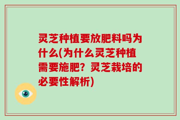 灵芝种植要放肥料吗为什么(为什么灵芝种植需要施肥？灵芝栽培的必要性解析)