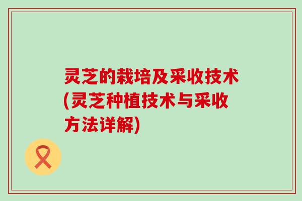 灵芝的栽培及采收技术(灵芝种植技术与采收方法详解)