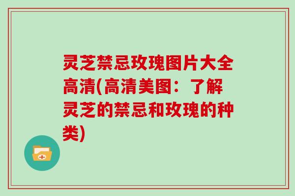 灵芝禁忌玫瑰图片大全高清(高清美图：了解灵芝的禁忌和玫瑰的种类)