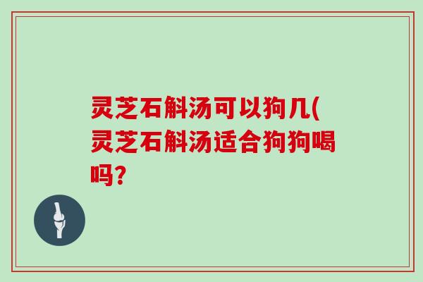 灵芝石斛汤可以狗几(灵芝石斛汤适合狗狗喝吗？