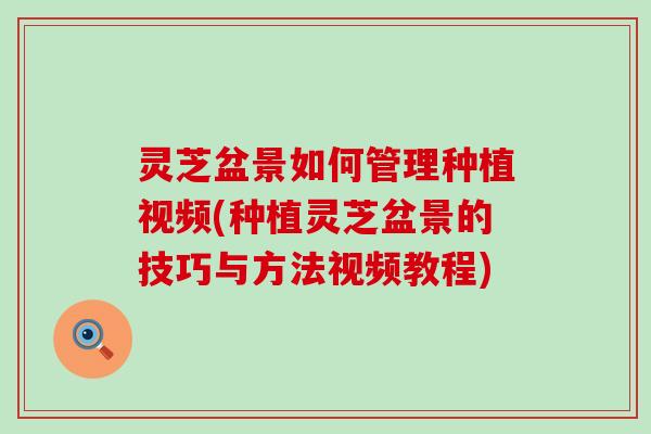 灵芝盆景如何管理种植视频(种植灵芝盆景的技巧与方法视频教程)