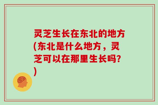 灵芝生长在东北的地方(东北是什么地方，灵芝可以在那里生长吗？)