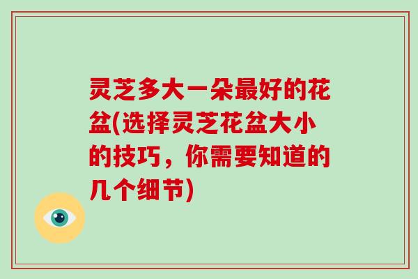 灵芝多大一朵好的花盆(选择灵芝花盆大小的技巧，你需要知道的几个细节)