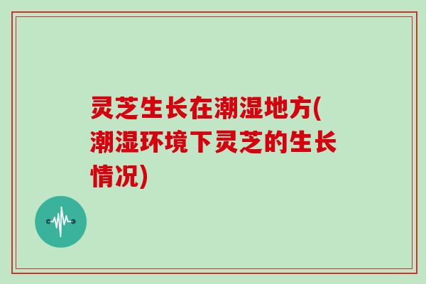 灵芝生长在潮湿地方(潮湿环境下灵芝的生长情况)