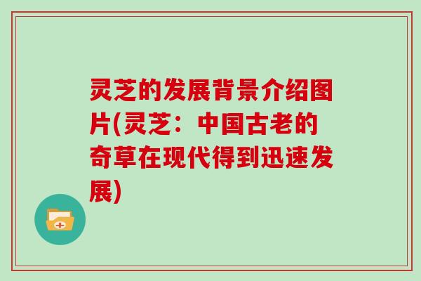 灵芝的发展背景介绍图片(灵芝：中国古老的奇草在现代得到迅速发展)