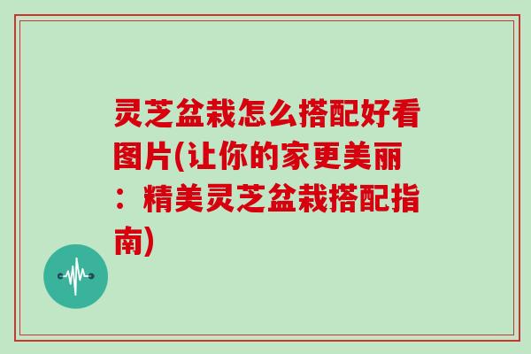 灵芝盆栽怎么搭配好看图片(让你的家更美丽：精美灵芝盆栽搭配指南)