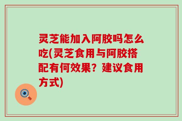 灵芝能加入阿胶吗怎么吃(灵芝食用与阿胶搭配有何效果？建议食用方式)