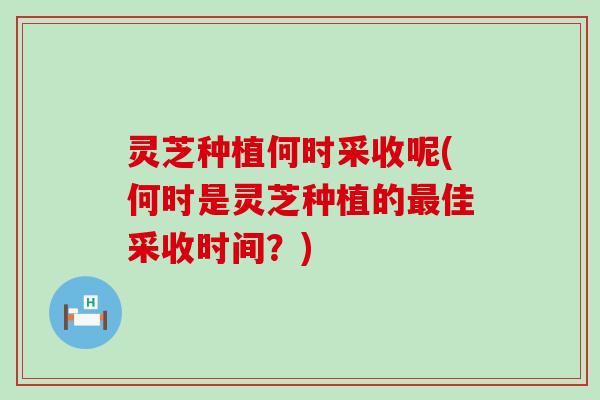 灵芝种植何时采收呢(何时是灵芝种植的佳采收时间？)