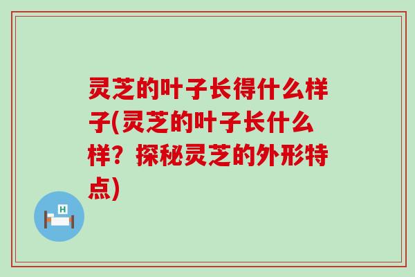 灵芝的叶子长得什么样子(灵芝的叶子长什么样？探秘灵芝的外形特点)