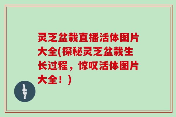 灵芝盆栽直播活体图片大全(探秘灵芝盆栽生长过程，惊叹活体图片大全！)