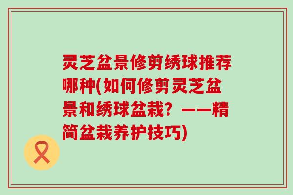 灵芝盆景修剪绣球推荐哪种(如何修剪灵芝盆景和绣球盆栽？——精简盆栽养护技巧)