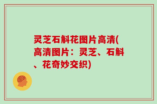 灵芝石斛花图片高清(高清图片：灵芝、石斛、花奇妙交织)