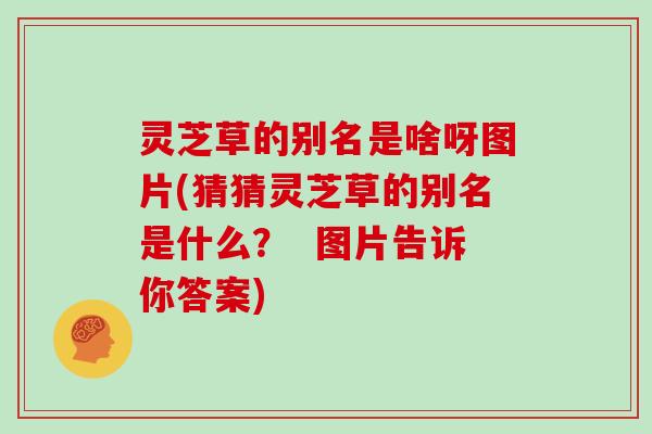 灵芝草的别名是啥呀图片(猜猜灵芝草的别名是什么？  图片告诉你答案)