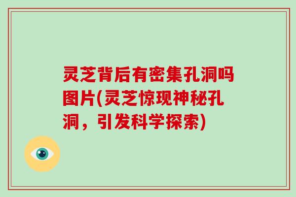 灵芝背后有密集孔洞吗图片(灵芝惊现神秘孔洞，引发科学探索)