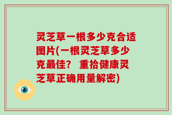 灵芝草一根多少克合适图片(一根灵芝草多少克佳？ 重拾健康灵芝草正确用量解密)